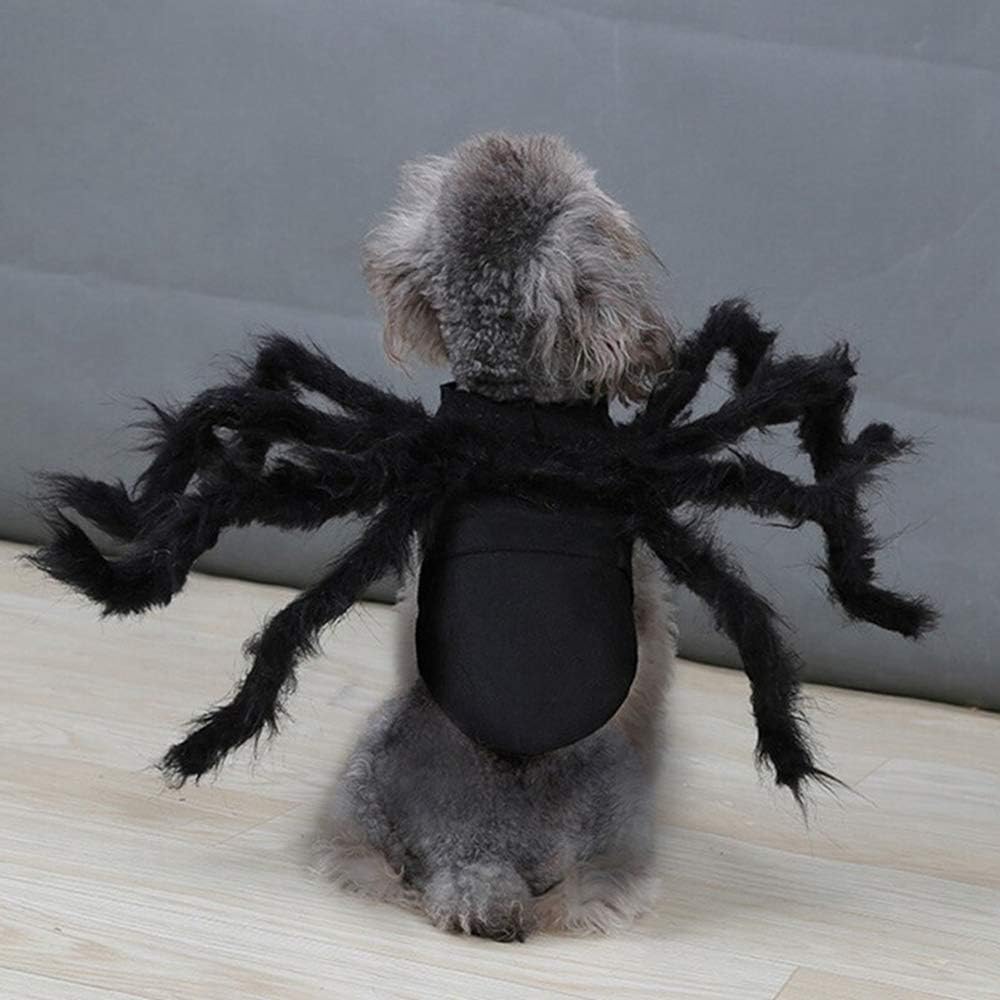 Spider Costume for Halloween Party Decoration, Cosplay Costumes for Small Dogs and Cat, Puppy Dress up Accessories Black