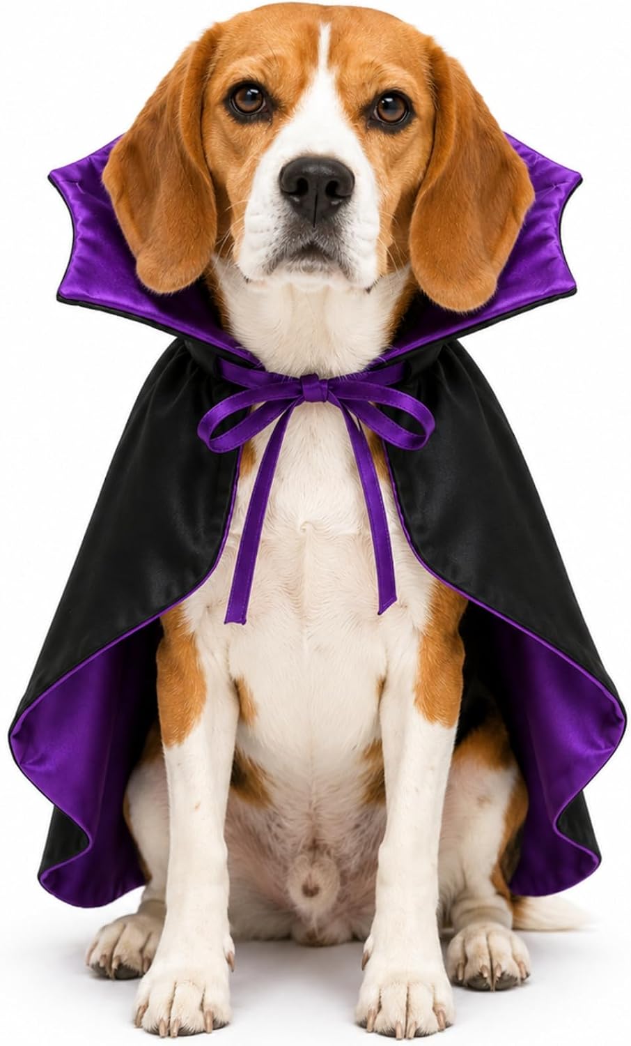Vampire Cloak Dog Costumes for Medium Dogs, Devil Cape Dog Halloween Costume, Halloween Costumes for Medium Large Breed