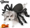Spider Costume for Halloween Party Decoration, Cosplay Costumes for Small Dogs and Cat, Puppy Dress up Accessories Black