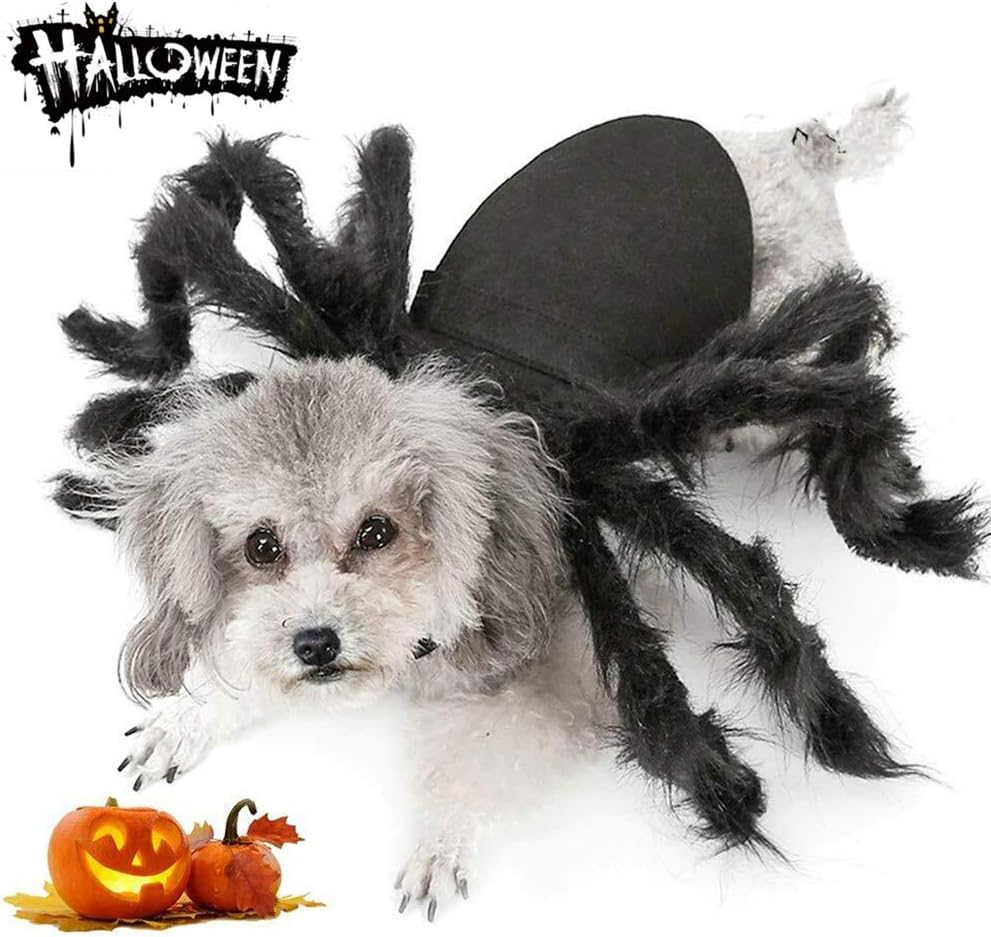 Spider Costume for Halloween Party Decoration, Cosplay Costumes for Small Dogs and Cat, Puppy Dress up Accessories Black