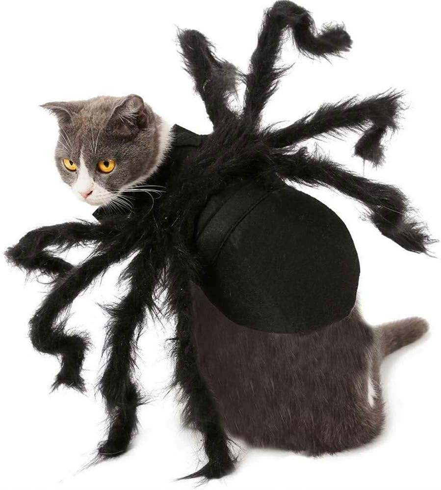 Spider Costume for Halloween Party Decoration, Cosplay Costumes for Small Dogs and Cat, Puppy Dress up Accessories Black