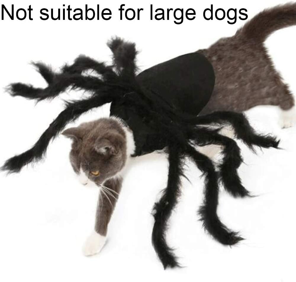 Spider Costume for Halloween Party Decoration, Cosplay Costumes for Small Dogs and Cat, Puppy Dress up Accessories Black